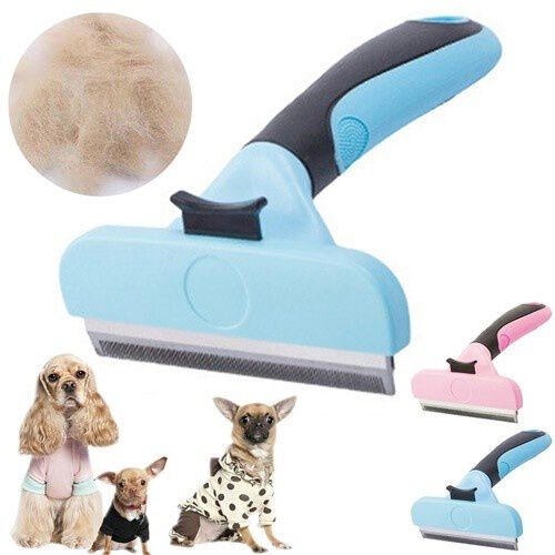 Cepillo MyPetCare para mascotas color Azul, , large Imagen numero 5