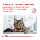 Royal Canin Veterinary Urinary pienso para gatos, , large image number null