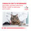 7 kg Royal Canin Veterinary Urinary pienso para gatos, , large indicador imagen numero 7
