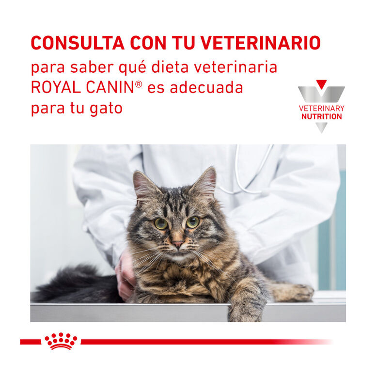 Royal Canin Veterinary Urinary pienso para gatos thumbnail