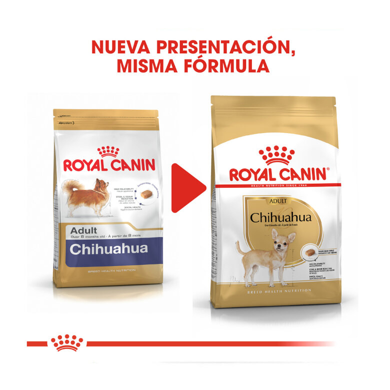 Royal Canin Adult Chihuahua pienso para perros, , large image number null