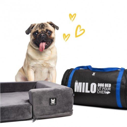 Patasbox milo cama ortop dica viscoel stica gris para perros