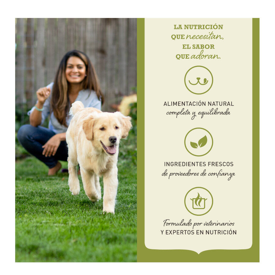 Acana Highest Protein Indoor Pollo Salmón y Trucha Pienso para gatos thumbnail