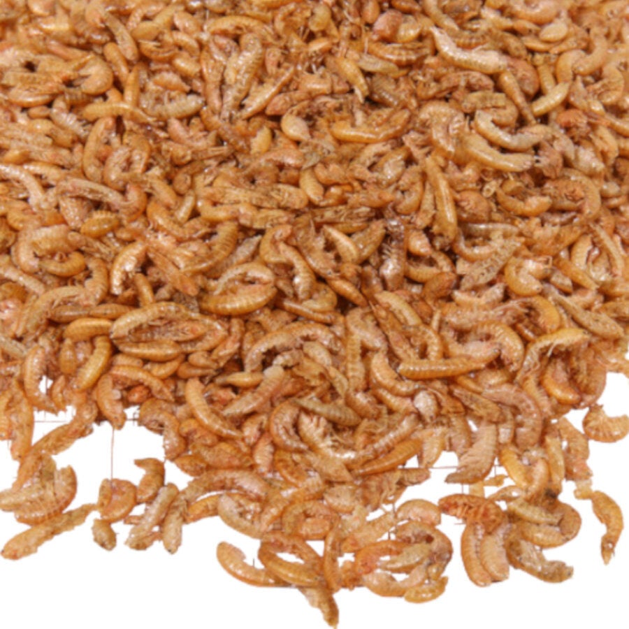 JBL Proterra Gammarus Deshidratados para tortugas thumbnail