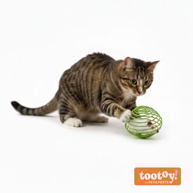 Tootoy! Pelota Interactiva con Ratón para gatos