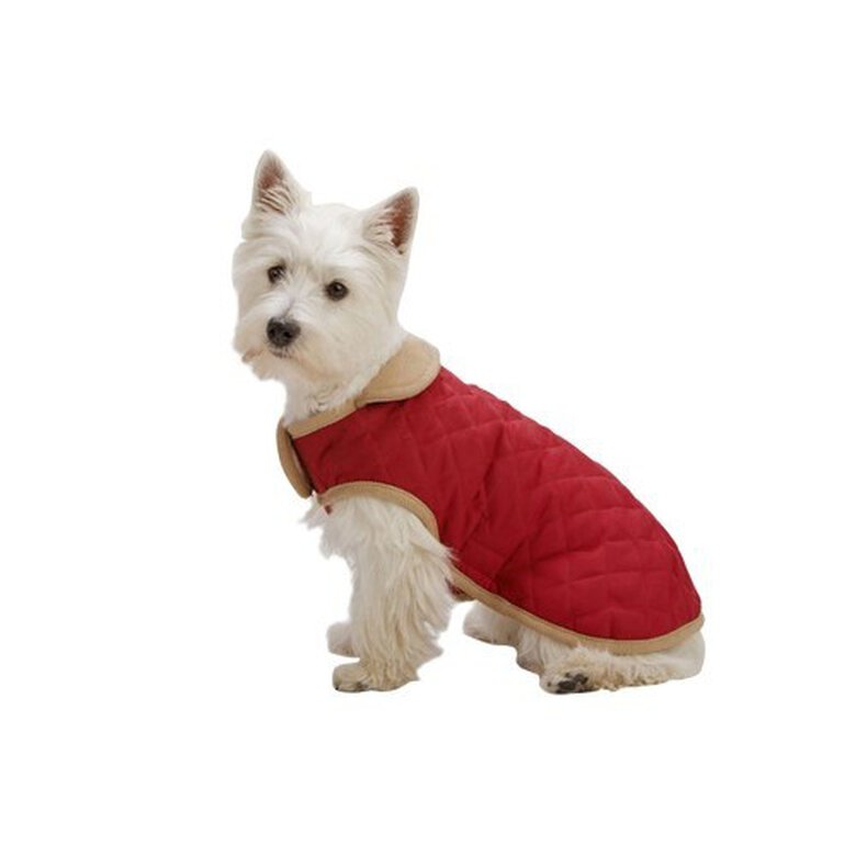 Abrigo de ante acolchado Dog Gone para perros color Rojo, , large image number null