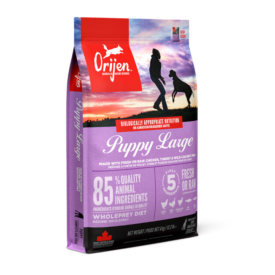 6 kg Orijen Puppy Large pienso para perros, , large Imagen numero 1