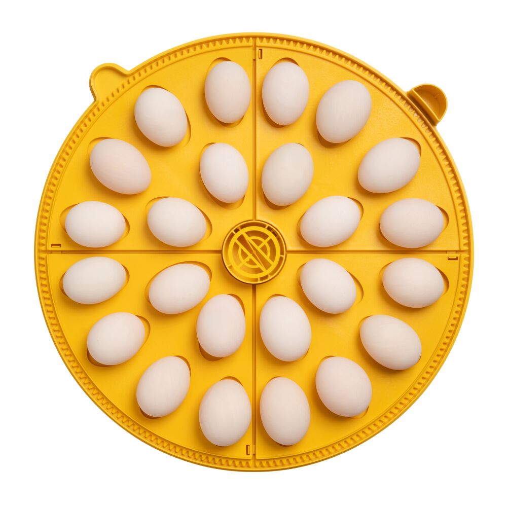 Incubadora BRINSEA Maxi 48 EX - Incubadora para 48 Huevos de gallina - Apta para Diferentes Especies o tama&ntilde;os de Huevos - Fabricaci&oacute;n Europea, , large Imagen numero 4