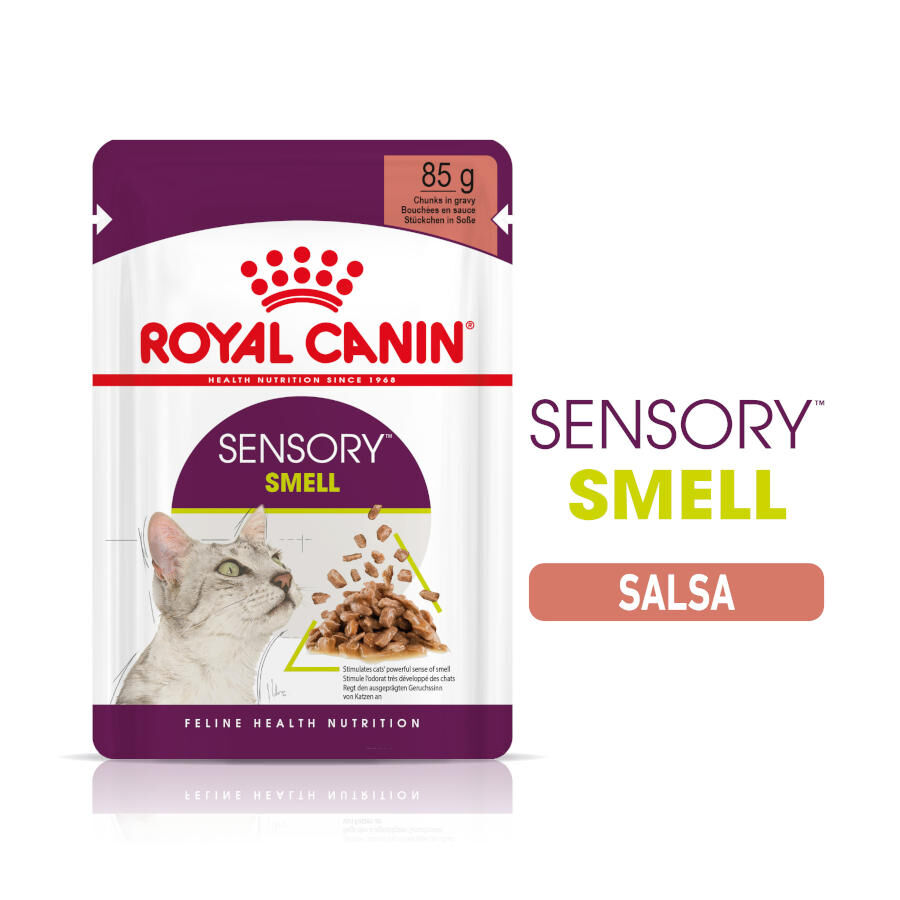 Royal Canin Adult Sensory Smell salsa sobre para gatos thumbnail