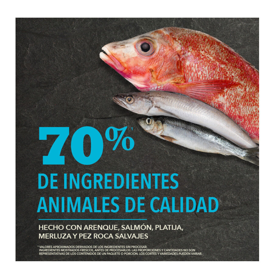 Acana HP Pacífica pienso para perros thumbnail