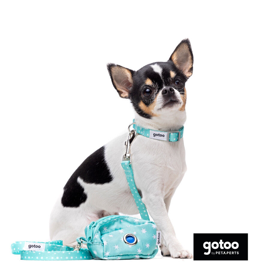 Gotoo Set Correa y Collar estampado con estrellas verde para perros, , large Imagen numero 10