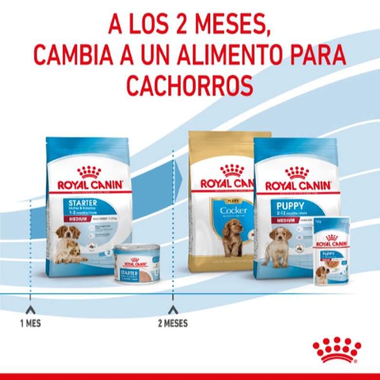 Royal Canin Medium Starter Mother&Baby pienso para perros , , large image number null