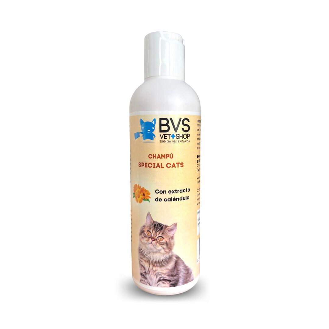 Champ&uacute; Special Cats Extracto de Calendula BVS | Champ&uacute; con extracto de cal&eacute;ndula especialmente formulado para gatos., , large Imagen numero 1