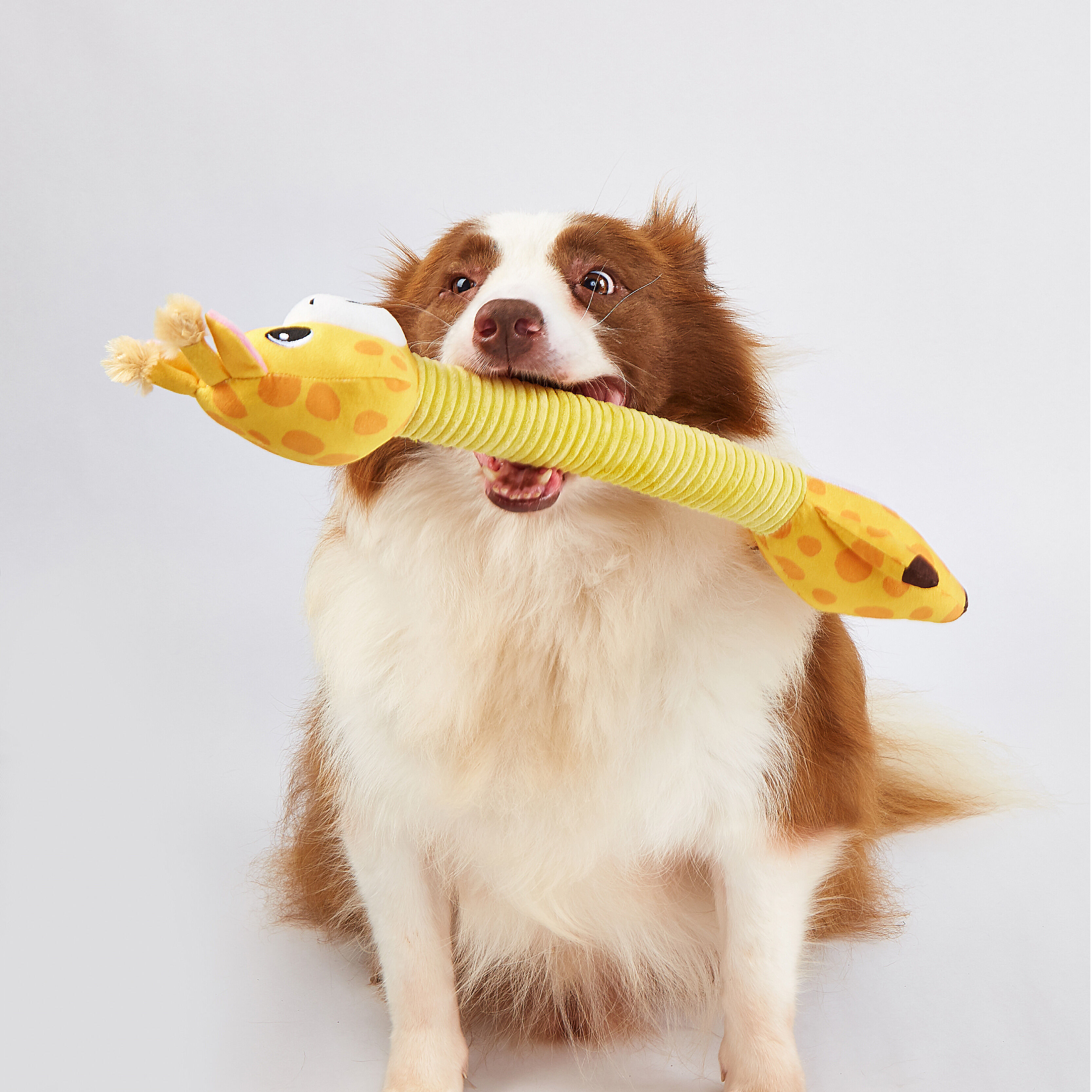Juguete para Perro de Cuello Largo con Sonido Crinkle &ndash; Jirafa, , large Imagen numero 2