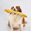 Juguete para Perro de Cuello Largo con Sonido Crinkle &ndash; Jirafa, , large indicador imagen numero 2