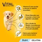 Pedigree Junior Vital Protection Gelatina sobre para perros - Pack 4, , large image number null