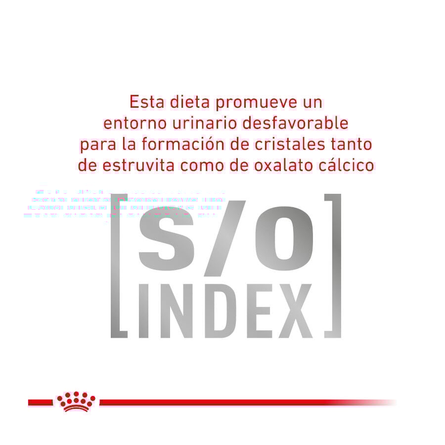 Royal Canin Veterinary Gastrointestinal Moderate Calorie pienso para gatos thumbnail