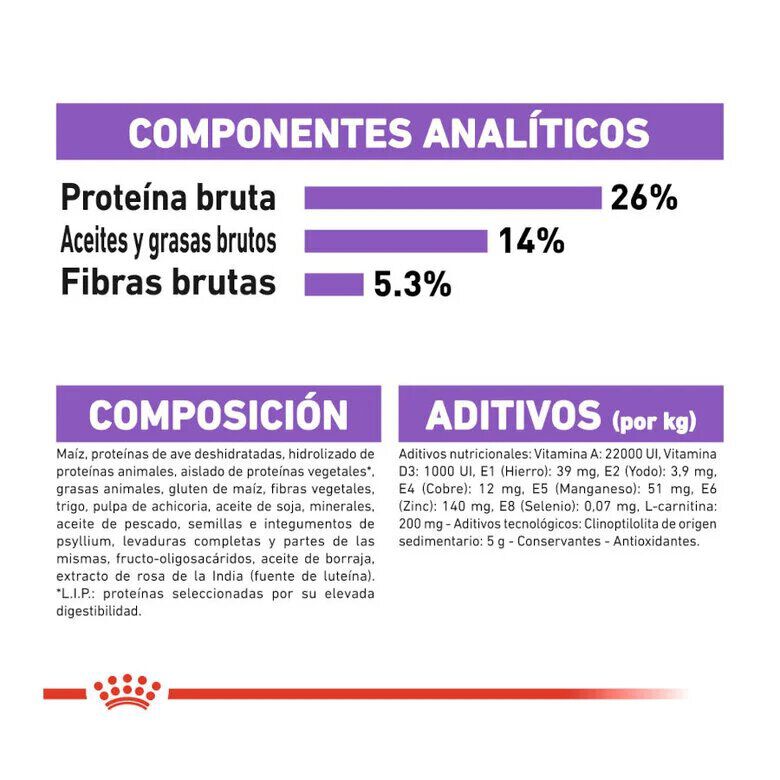 Royal Canin X-Small Sterilised pienso para perros thumbnail