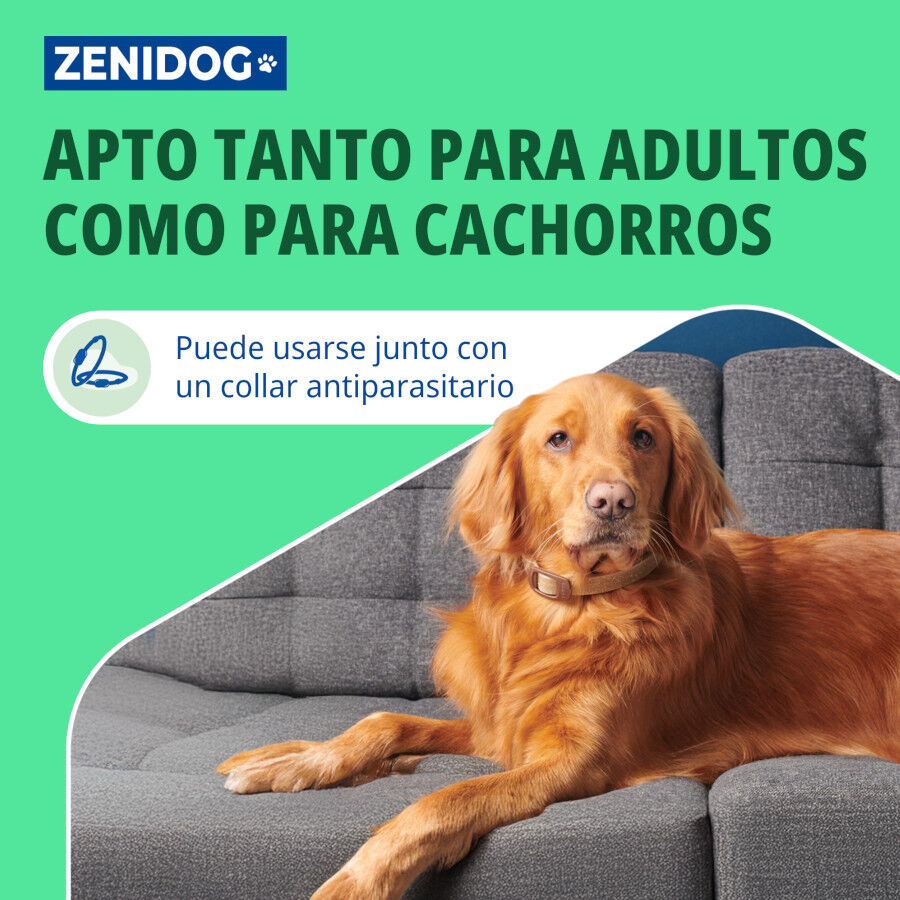 Virbac Zenidog Collar Calmante para cachorros, , large Imagen numero 5