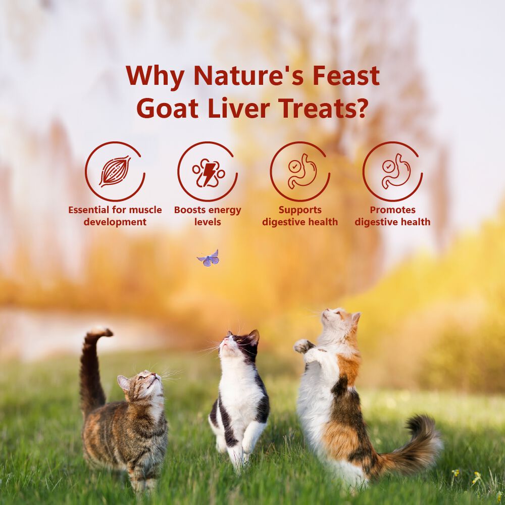 Golosinas liofilizadas para gatos: h&iacute;gado de cabra (50 g/1,76 oz), , large Imagen numero 5