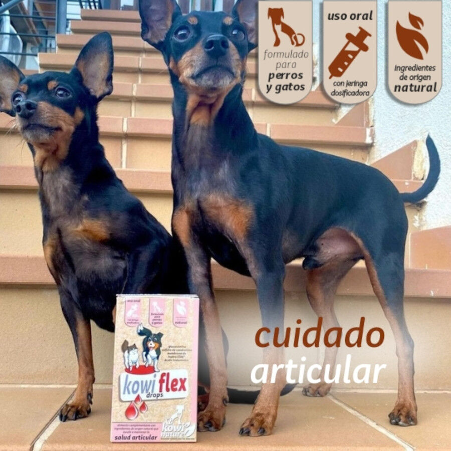 Kowi Nature Condroprotector natural KOWI FLEX plus drops para perros y gatos, , large Imagen numero 2