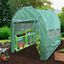 Invernadero Politúnel con Estanterí­a Galvanizada de Jardí­n Carpa de Cultivo 19mm 5 x 2m, , large indicador imagen numero 14