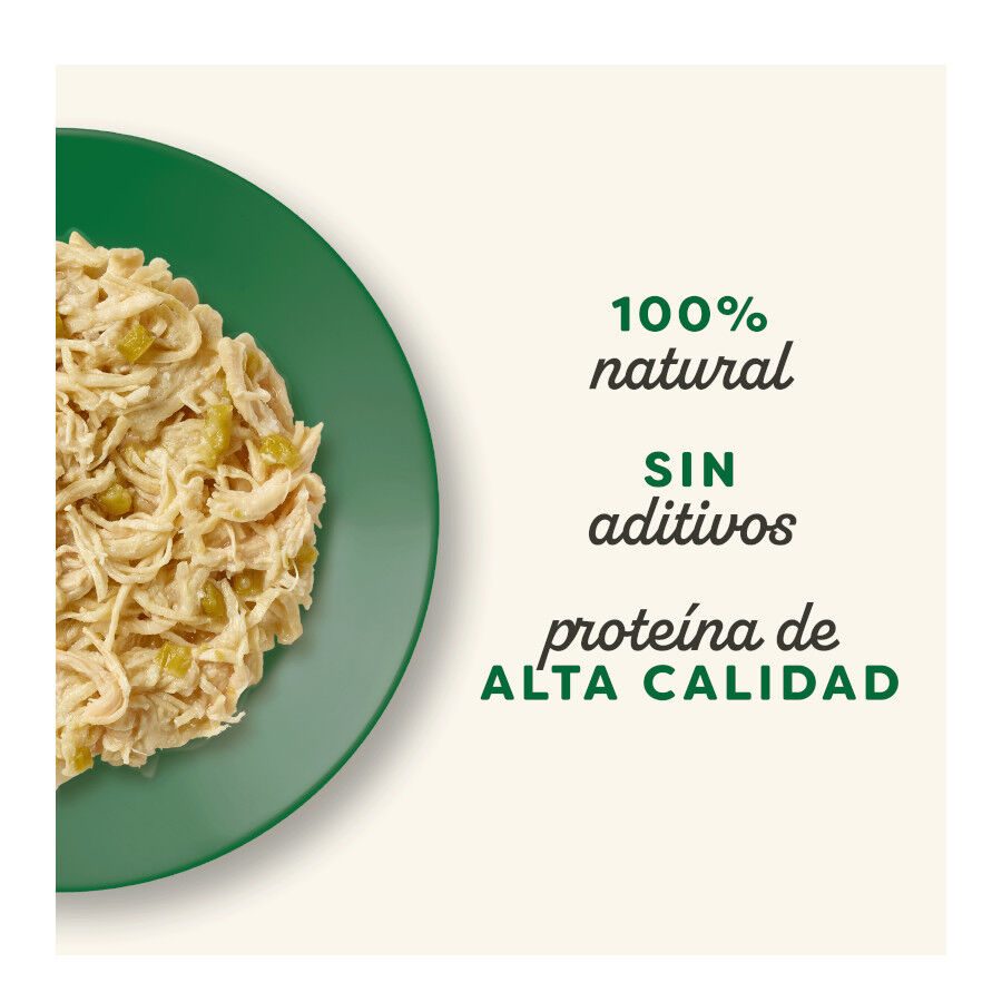 70 g Applaws Pollo y Esp&aacute;rragos sobre para gatos, , large Imagen numero 3