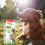 Beaphar VERMIpure Repelente Interno Natural Líquido para perros y cachorros, , large indicador imagen numero 7