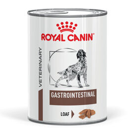 Royal Canin Veterinary Diet Gastrointestinal Pat&eacute; lata para perros