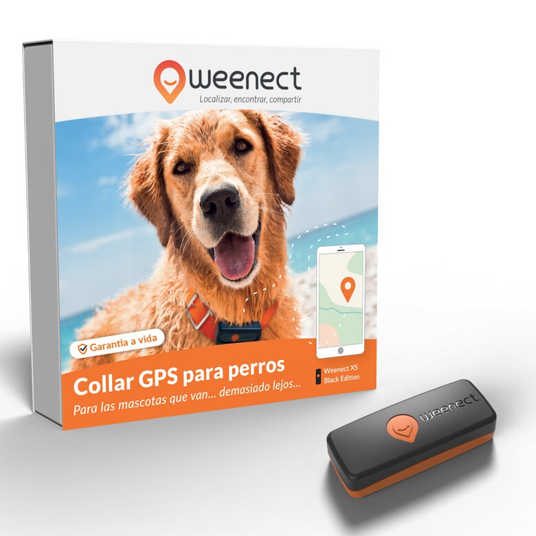 Weenect GPS Xs negro para perros