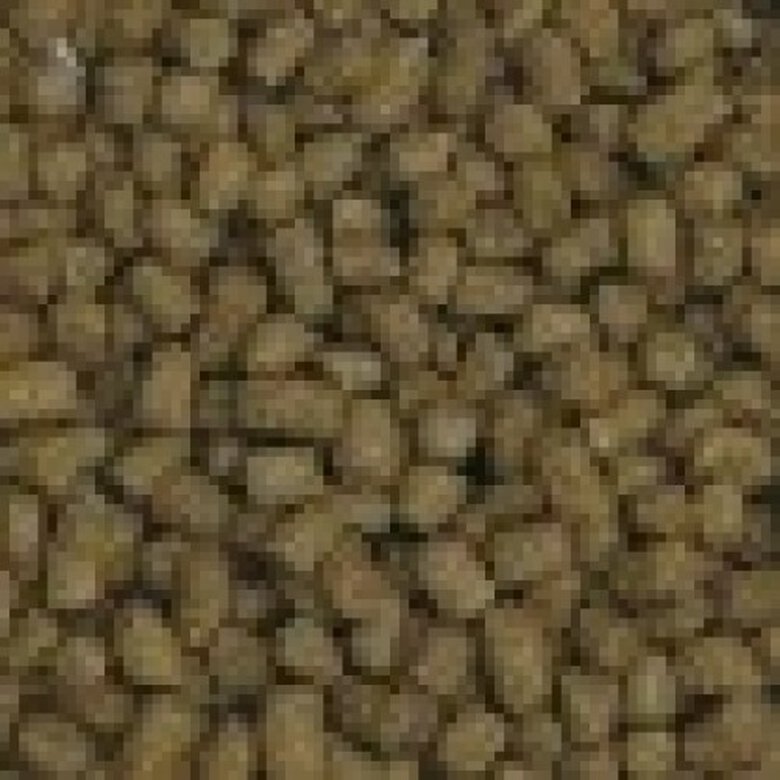 Alimento Fluval Bug Bites en gránulos para peces de agua fría, , large image number null