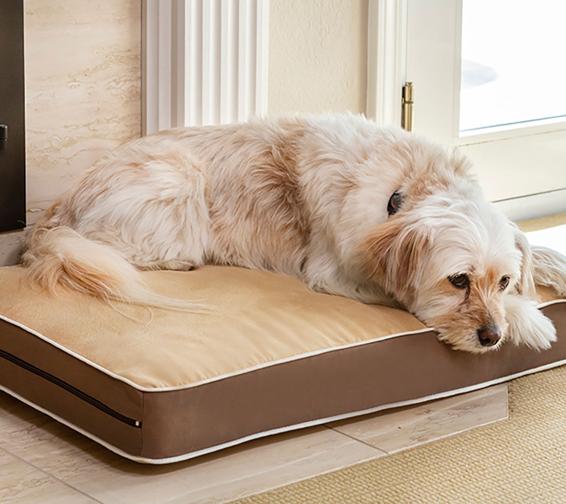 FINCA CASAREJO Cama para Perros y Gatos- F&aacute;cil de Lavar - Colchoneta Super Confortable 7,7cm de Grosor- 3 tama&ntilde;os Diferentes en funci&oacute;n del tama&ntilde;o del Perro (Medium (69x47cm)), , large Imagen numero 3