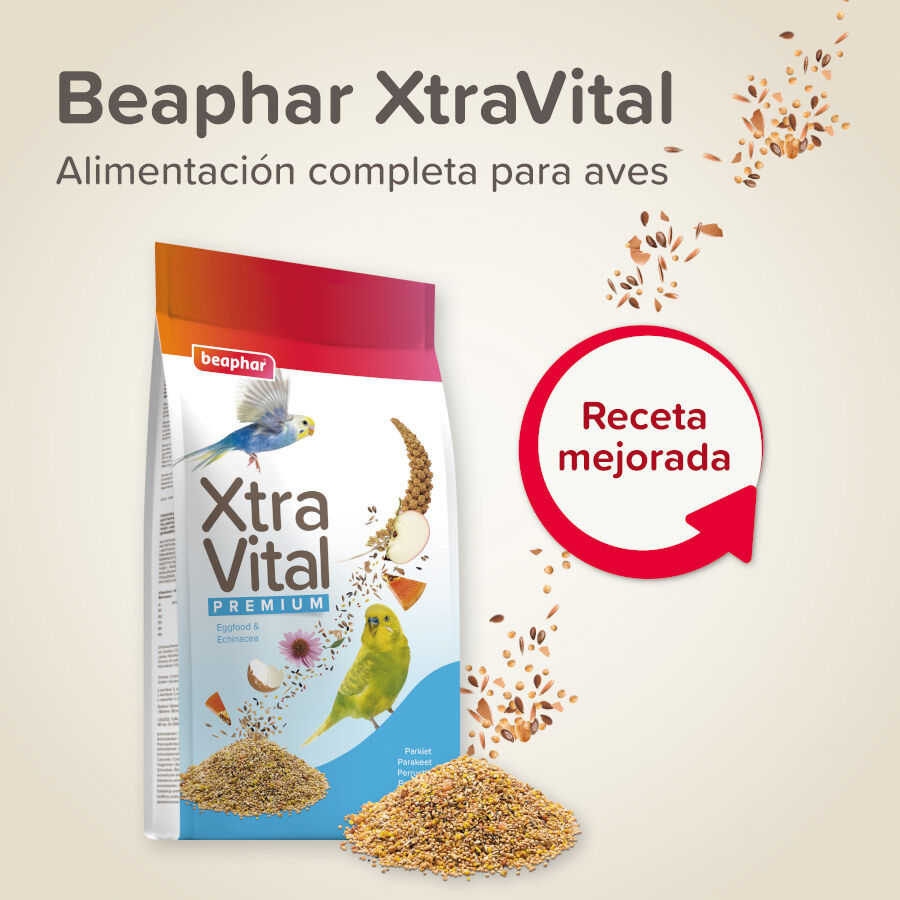 Beaphar XtraVital Premium Mixtura de Semillas para periquitos thumbnail