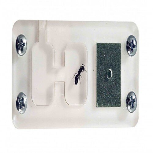 Hormiguero Anthouse Acri-king para reinas thumbnail