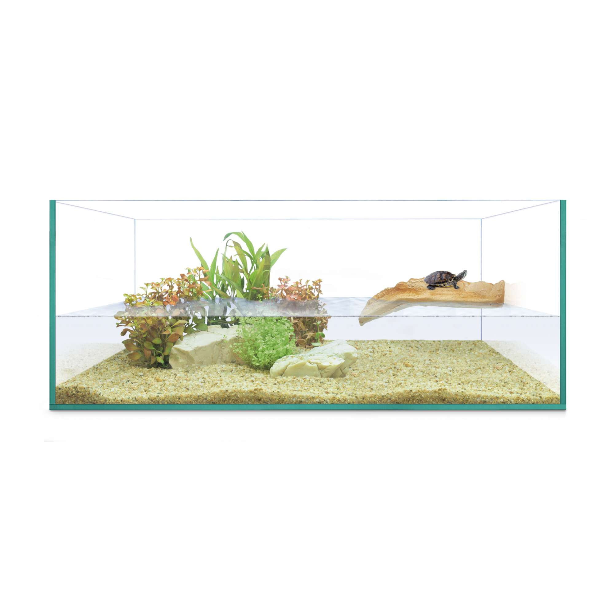 Ica Kit Isla de Repti Selva 50 Tortuguera para reptiles