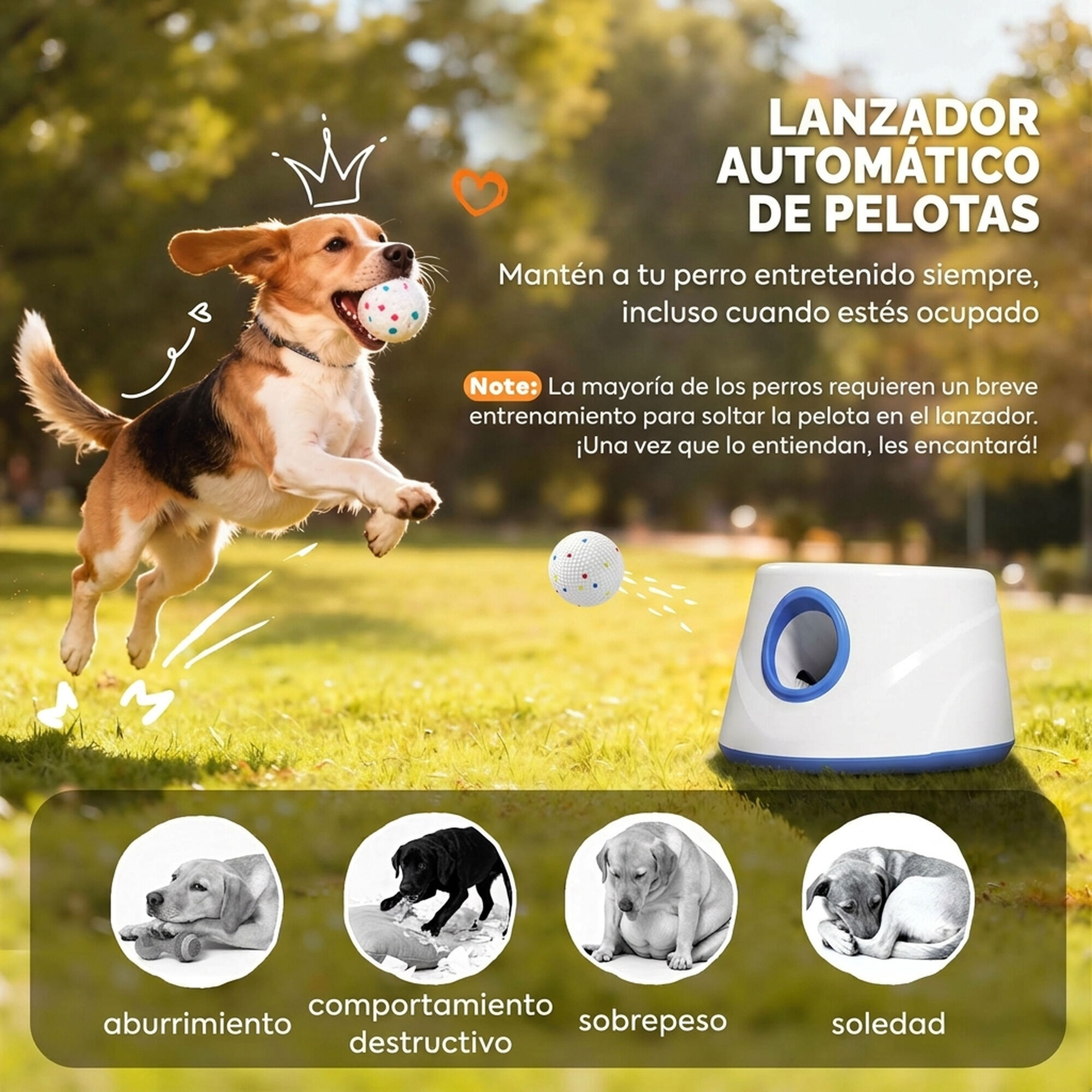 PawHut Lanzador de Pelotas para Perro Azul, , large Imagen numero 4