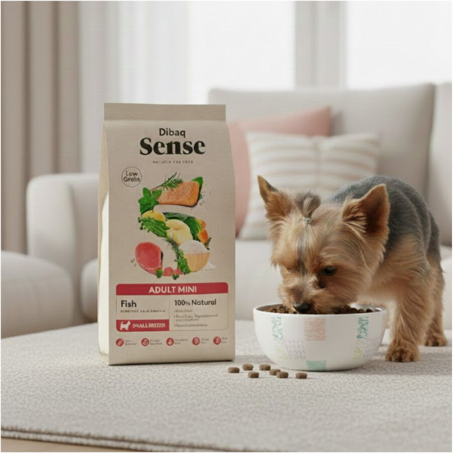 2 kg Dibaq Sense Low Grain Ault Mini Pescado Pienso para perros, , large Imagen numero 5