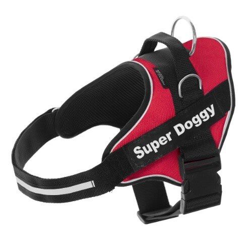 Arn&eacute;s personalizado Super Doggy para perros color Rojo, , large Imagen numero 1