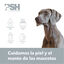 PSH Hypoallergenic Rithual Acondicionador para perros y gatos, , large indicador imagen numero 2
