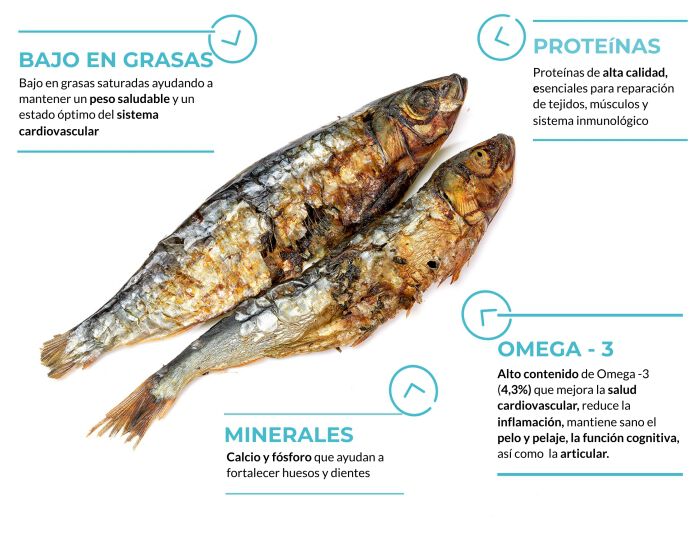 Sardinas, , large Imagen numero 2