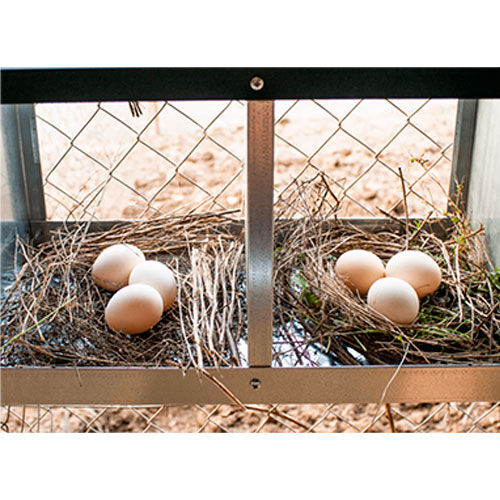 Nido F&eacute;nix - 3 departamentos, , large Imagen numero 2