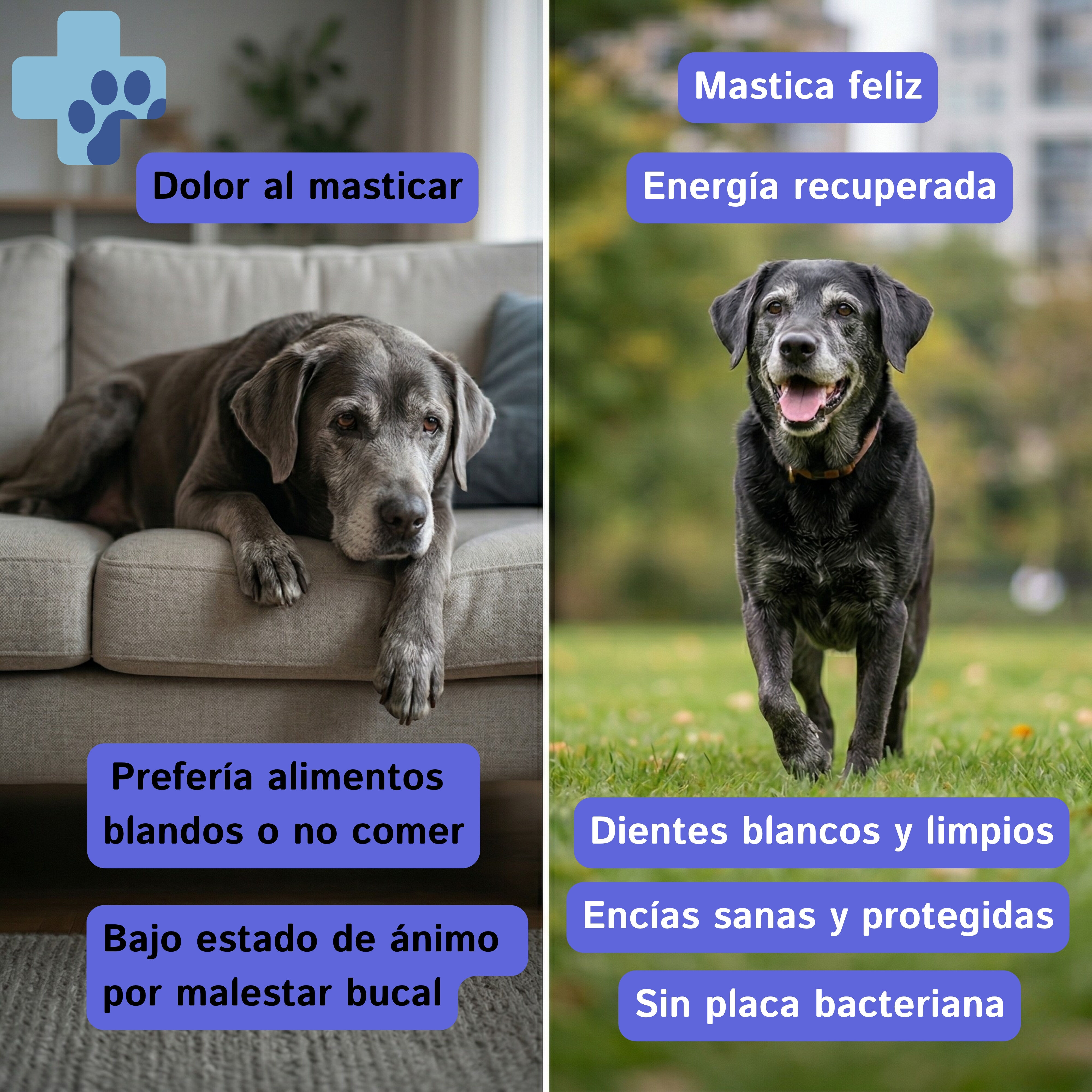 Spray Bucal para Eliminar el Mal Aliento de Perros y Gatos Dent&iacute;frico Animal Ayuda a Reducir Placa y Sarro y Previene de Alitosis en Mascotas Aditivio para el Agua o Pulverizador Directo en Boca, , large Imagen numero 2