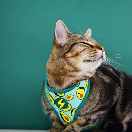 Dashi neo mesh avocado arn&eacute;s verde para perros grandes, , large Imagen numero 3