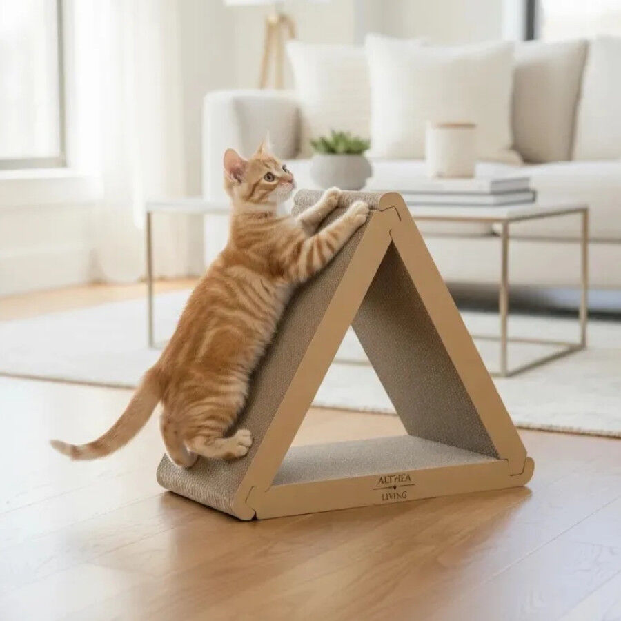 Althea Living - Rascador de cart&oacute;n para gatos Balandra, plegable, 6&nbsp;superficies&nbsp;de rascado, , large Imagen numero 3
