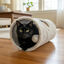 Tootoy! Tunnel con Juguete para gatos, , large indicador imagen numero 1