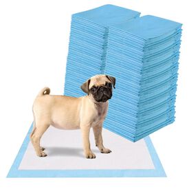 COSTWAY Almohadilla de entremaniento Desechable para Perros y Gatos