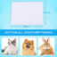 40 Unidades Toallitas Perros Higiene, Inodorina Toallitas Desinfectantes Mascotas, Toallitas Clorhexidina Perros y Gatos, , large indicador imagen numero 4
