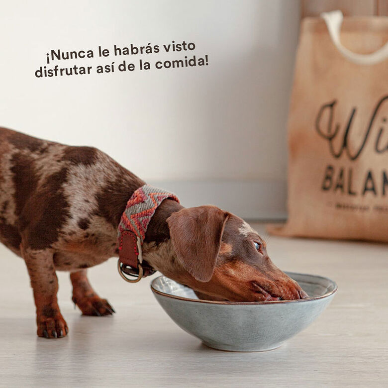 Wild Balance menús completos BARF sabor boquerón, sardina y pavo para perros thumbnail