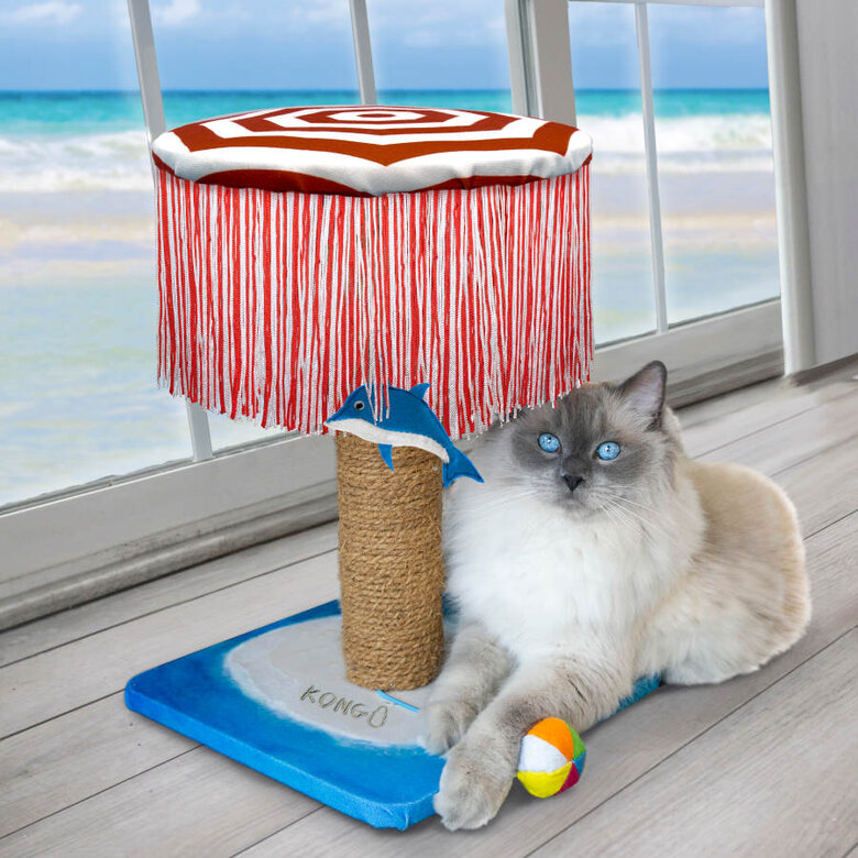 Kong PlaySpaces Catbana juguete para gatos, , large image number null