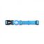 Collar para perros color Azul Claro, , large indicador imagen numero 1